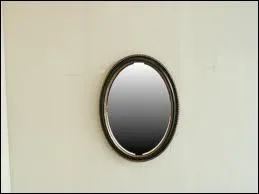 Qu'appelle-t-on des oeufs miroirs ?
