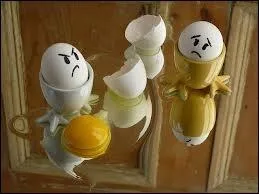 Le blanc d'oeuf contient des lipides et des protnes alors que le jaune ne contient que des protnes :