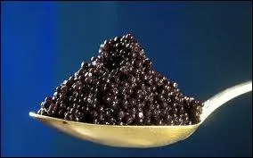Quels sont les oeufs dont provient le caviar ?