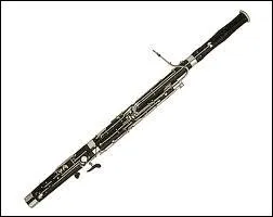 Comment s'appelle cet instrument de musique ?