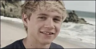 De quel chanteur est-il fan ?