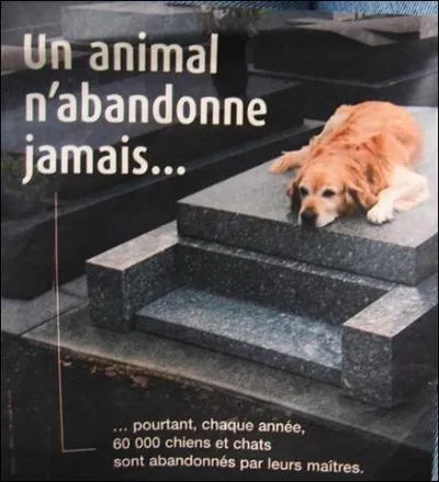 Ce slogan est indniable. Pour quelle sorte de produit cette affiche a-t-elle t ralise ?