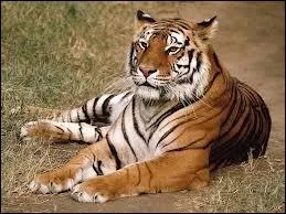 Tony le tigre a vu le jour en 1952 ; il symbolise quelle marque ?