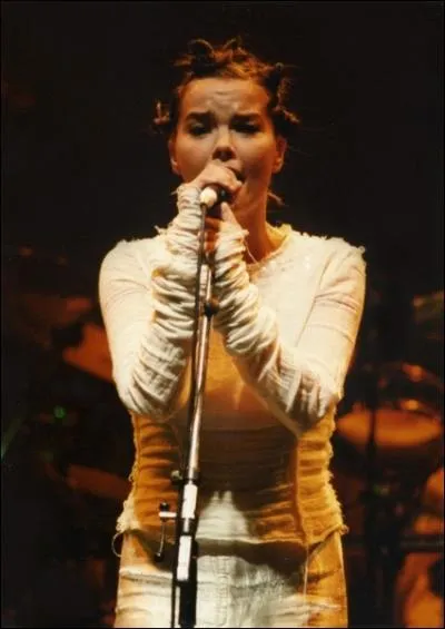 A qui doit-on  Human Behaviour  et  It's oh so quiet  ?