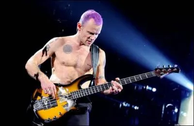 Flea fait partie des meilleurs bassistes mais il est aussi un peu disjonct... Il a fini le concert nu  derrire sa basse  ! De quel clbre groupe fait-il partie ?