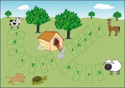 Quelle est la particularité de cette phrase : "une souris habite avec un chat et lit les journaux du matin" ?