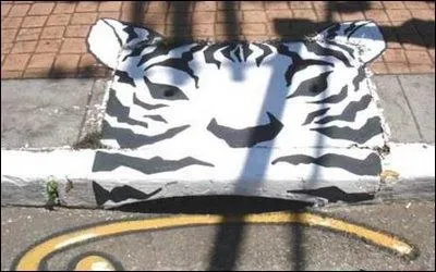 Amplificateur de puissance, soi-disant activateur de chevaux !