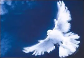 Quel est le but de l'akatsuki ?