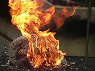 Très certainement un quiz qui sera comme un feu de paille. C'est-à-dire ?