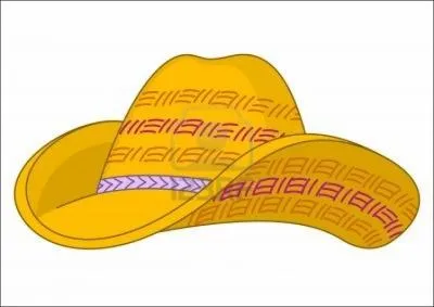 Que portaient les femmes, en été, sous un chapeau de paille, jusqu'au XIXe siècle ?