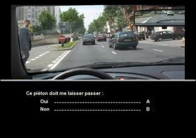 Ce piton doit-il me laisser passer ? (cliquez sur l'image pour l'agrandir)