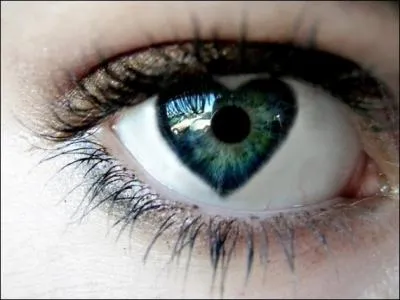 Sous quelle action, l'iris permet-il  la pupille de s'agrandir ou se rtrcir ?