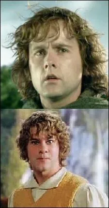 Ces deux cousins font partie de la Communaut de l'anneau. Quel Hobbit est sur la photo du haut ?