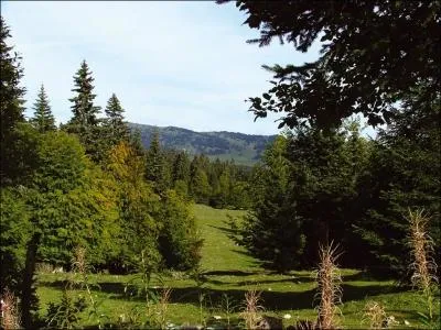 [Divers] Parmi ces mammifres menacs, le(s)quel(s) est/sont notablement prsent(s) dans la rgion ?