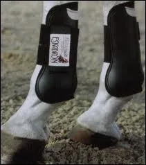 Comment s'appellent ces protections ?