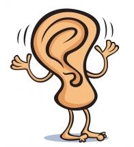 Quiz Anatomie