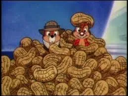 Le plus idiot des deux a le nez rouge et les dents cartes... Qui a une cacahute sur la tte ?