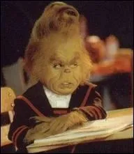 Qui en est le ralisateur ?