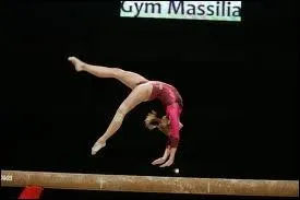 Quelle est cette figure ?