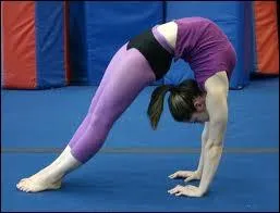 Quelle est cette figure ?