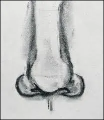 Le mot commence par : G...