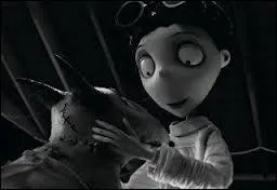 Tim Burton a ralis un dessin anim qui parle d'un petit garon voulant ressusciter son chien. Comment s'appelle ce film ?