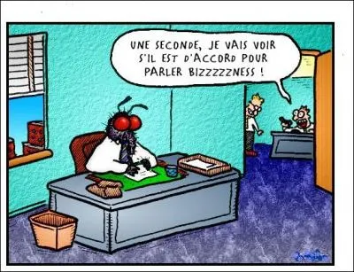 "Le Coche et la Mouche" est le titre d'une fable de Phèdre revisitée par Jean de La Fontaine. Que signifie l'expression "la mouche du coche" ?