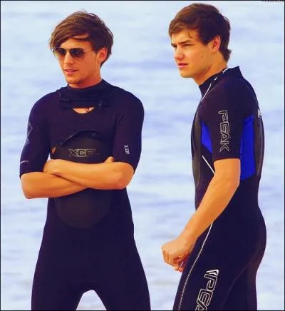 Comment s'appelle la bromance entre Louis et Liam ?