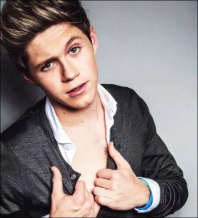  quel  fanbase  appartient Niall ?
