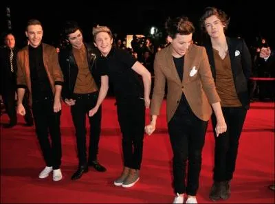 Quelle chanson ont-ils chant aux NRJ Music Awards ?