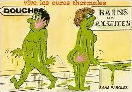 Le mot commence par : Pic ...