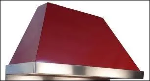 Le mot commence par : Pic ...