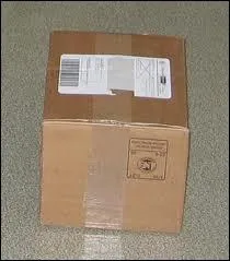 Le mot commence par : Pic ...