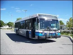 Le mot commence par : Pic ...