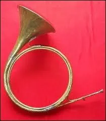 Le mot commence par : Pic ...