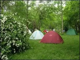 Le mot commence par : Pic ...