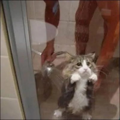 Ca nous arrive  tous, il y a des jours, comme a, o ce n'est vraiment pas ...