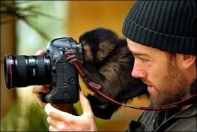 En 1975, dans  Le petit rapporteur , c'est ainsi que Jacques Martin brocarda le pouvoir en place !