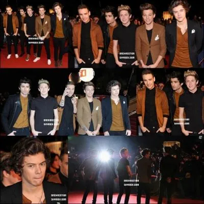 Ils taient opposs  quels artistes dans leur catgorie au NMA ?