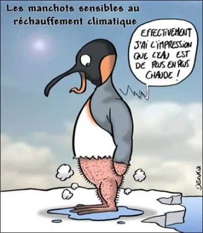 Le pingouin est souvent confondu avec le manchot, pourtant ils sont diffrents. Laquelle parmi les affirmations suivantes est fausse ?