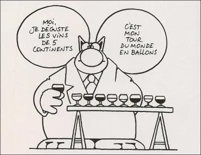 La ville se situe galement  la croise de deux vignobles : lequel n'en fait pas partie ?