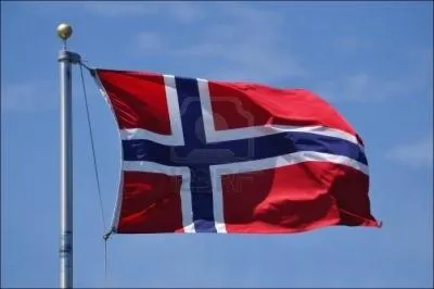 Dans quelle langue parlent les Norvégiens ?