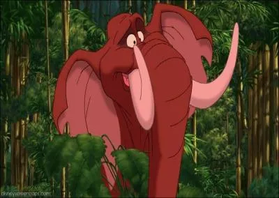 Dans quel dessin anim croise-t-on Tantor ?