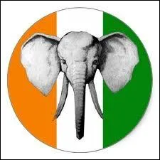 Pour quelle quipe nationale de football les Elphants jouent-ils ?