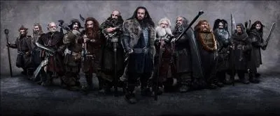 Combien de nains accompagneront Bilbon et Gandalf le magicien lors de leur aventure ?