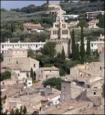 A quelle rgion reliez-vous la ville pittoresque de Nyons ?