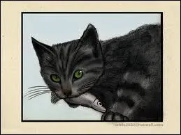 Le mot commence par : A ...