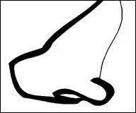 Le mot commence par : A ...