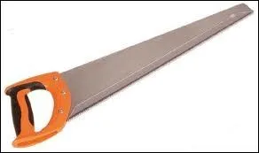 Le mot commence par : A ...