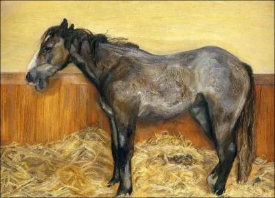 Pouliche rustique, 1970